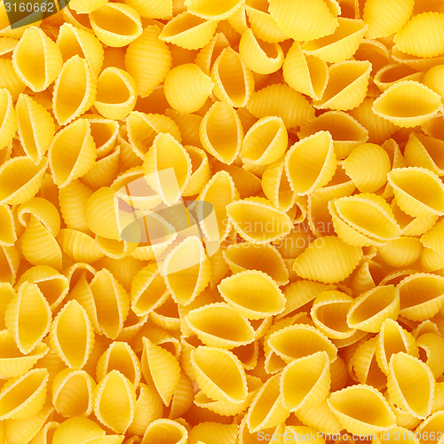 Image of Conchiglioni pasta