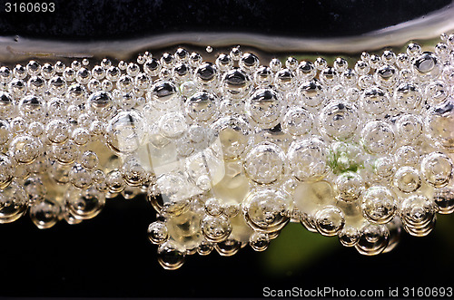 Image of  Bubble nest with egg built by Pearl Gourami.