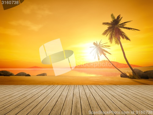 Image of sunset palm tree