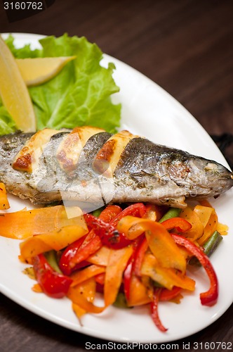 Image of rainbow trout fish