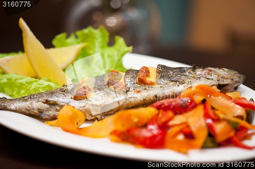 Image of rainbow trout fish