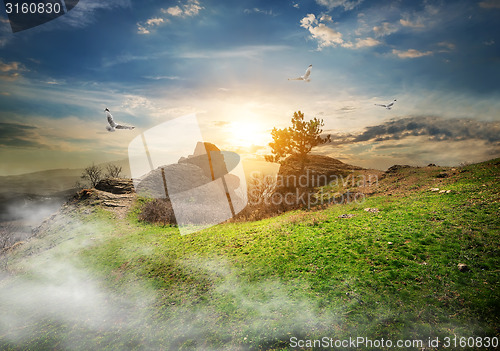 Image of Meadow on mountain