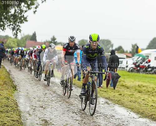 Image of The Peloton on a Cobbled Road- Tour de France 2014