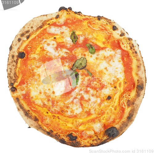Image of Margherita pizza isolated
