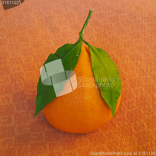 Image of Orange fruit