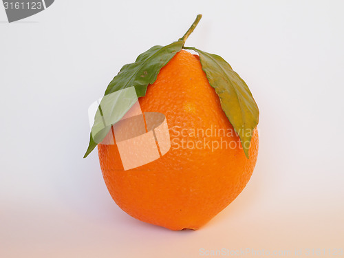 Image of Orange fruit