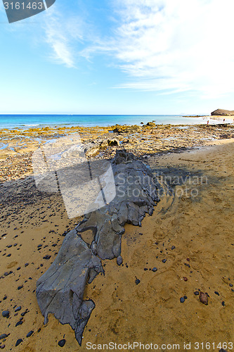 Image of white coast lanzarote  in   water  and summer 