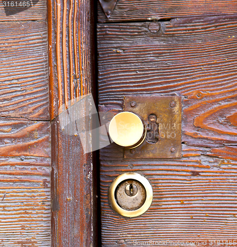 Image of  brass brown knocker   wood  door vinago  varese italy