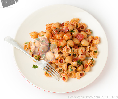 Image of Pasta elbows arrabbiata from above