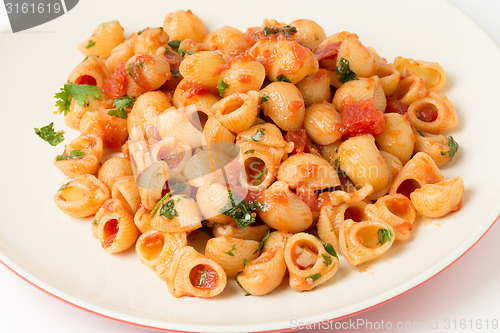 Image of Plate of arrabbiata pasta elbows