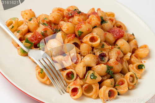 Image of Arrabbiata macaroni pasta and fork