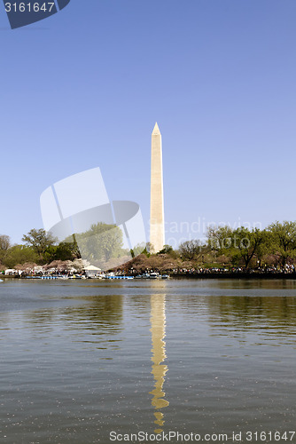 Image of Washington Monument and Tidal Basin