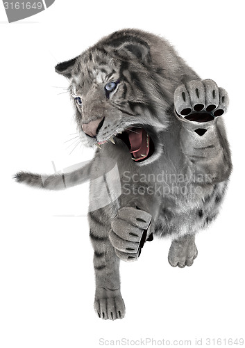 Image of White Tiger