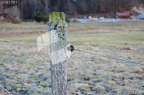 Image of electric fence
