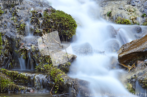 Image of Wild creek falling down a hill