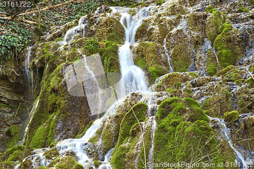 Image of Wild creek falling down a hill