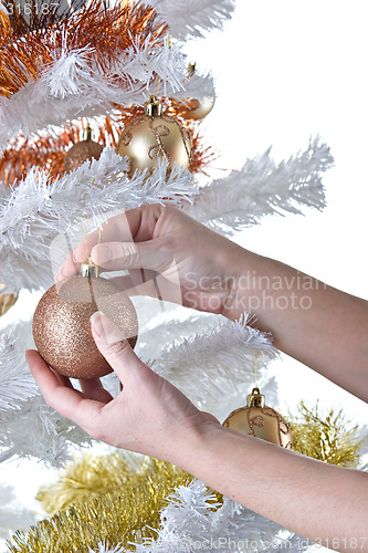 Image of Christmas Tree