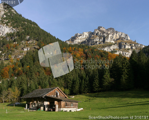 Image of Farm Field in The Alps