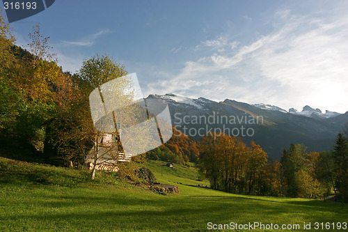 Image of Farm Field in The Alps