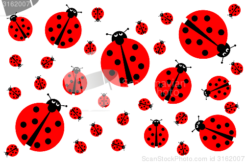 Image of Many Ladybugs