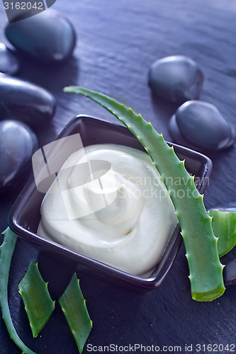 Image of Aloe Vera with Lotion Box