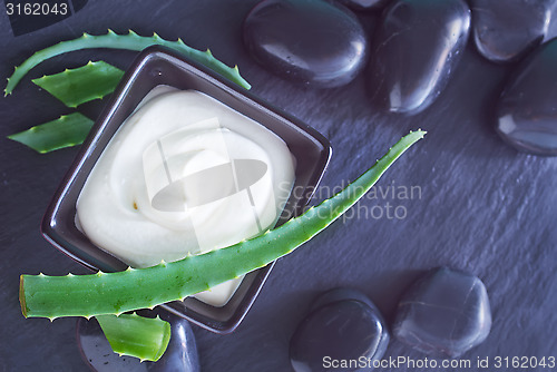 Image of Aloe Vera with Lotion Box