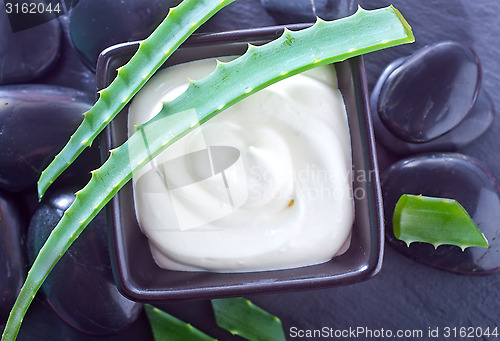 Image of Aloe Vera with Lotion Box