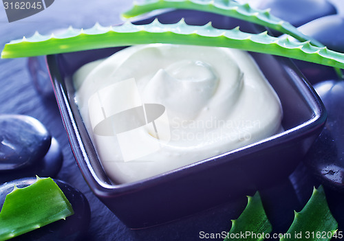 Image of Aloe Vera with Lotion Box