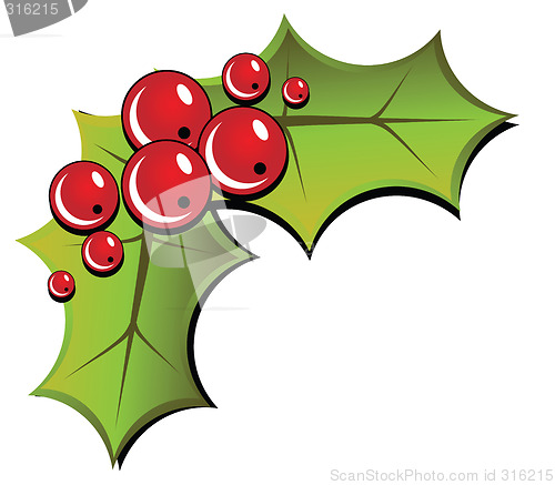 Image of Christmas Holly