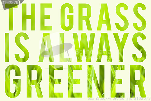 Image of Grass is Always Greener