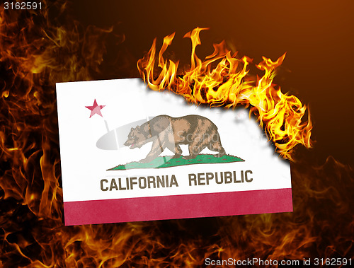 Image of Flag burning - California