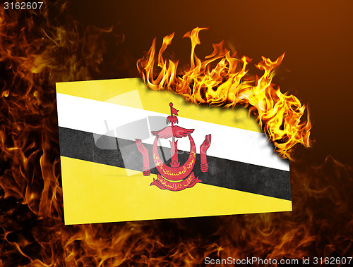 Image of Flag burning - Brunei
