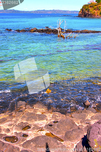 Image of andilana  in indian ocean madagascar  