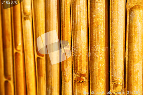 Image of  cross bamboo  kho phangan bay asia and south  