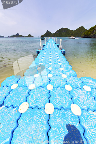 Image of plastic pier  coastline of a   lagoon and tree  south    bay  