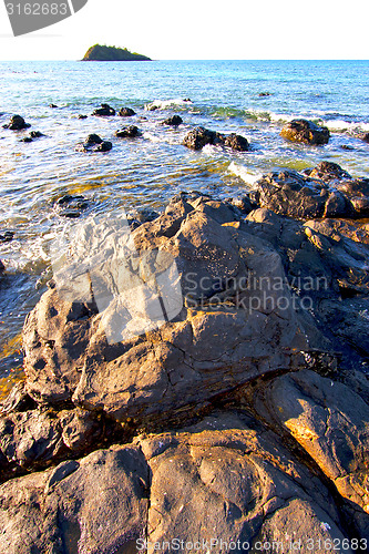 Image of andilana beach seaweed in indian ocean  mountain     and rock