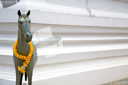 Image of horse  in the temple bangkok bronze wat  palaces   
