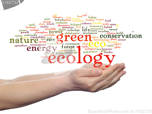 Image of Conceptual ecology word cloud isolated