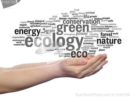 Image of Conceptual ecology word cloud isolated