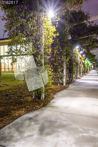 Image of citty alley sidewalk at night