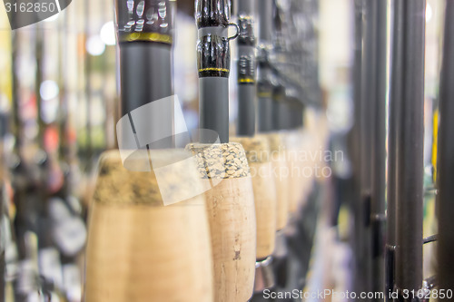 Image of photo of row of fishing rods in store