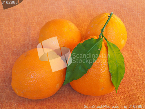 Image of Orange fruit