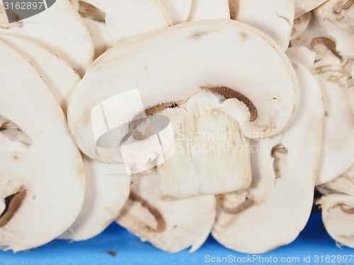 Image of Champignon mushroom