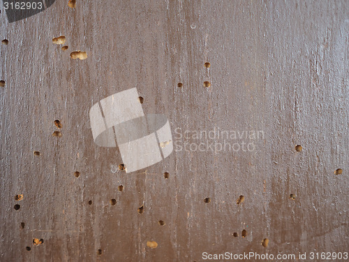 Image of Wood damaged by furniture beetle