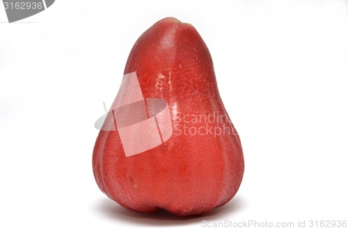 Image of Rose apple