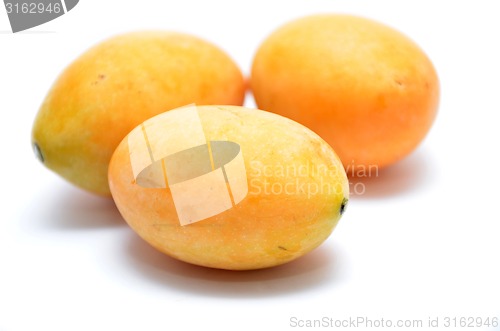 Image of Sweet Marian plum