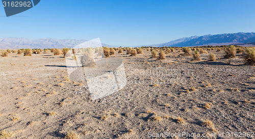 Image of Death Valley Desert