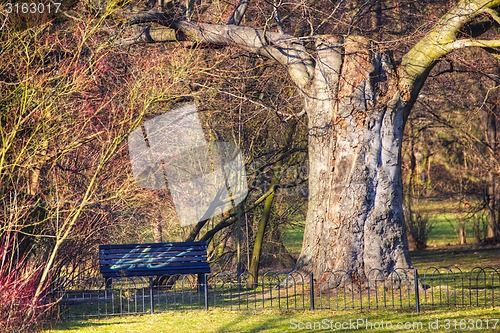 Image of Sunny path in park