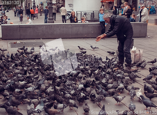 Image of France, Paris - June 17, 2011: Bird Feeder