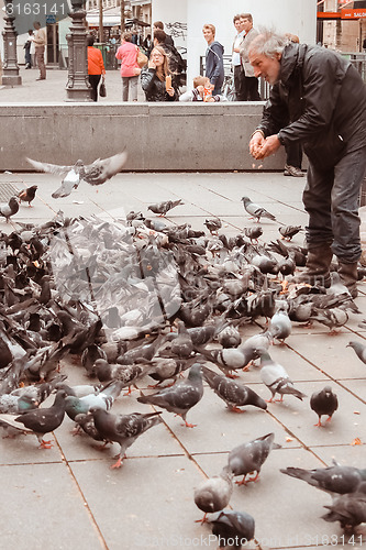 Image of France, Paris - June 17, 2011: Bird Feeder